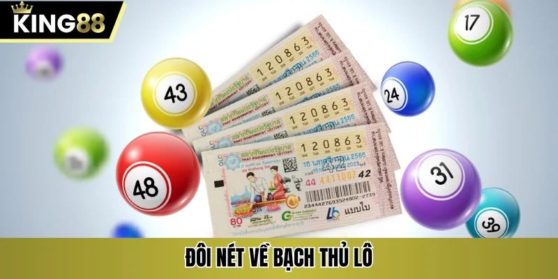 Đôi nét về bạch thủ lô