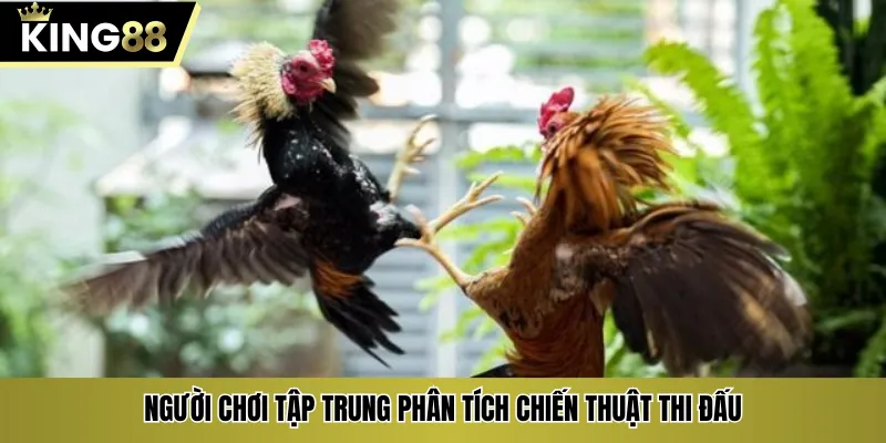 Người chơi tập trung phân tích chiến thuật thi đấu