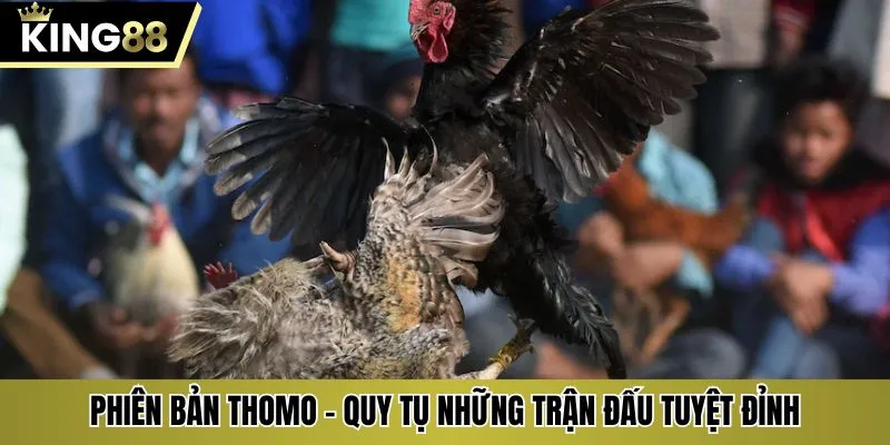 Phiên bản Thomo - Quy tụ những trận đấu tuyệt đỉnh